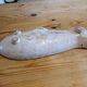 Vintage Pottery Fish from Brancitorri