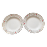 2 hollow plates Villeroy and Boch