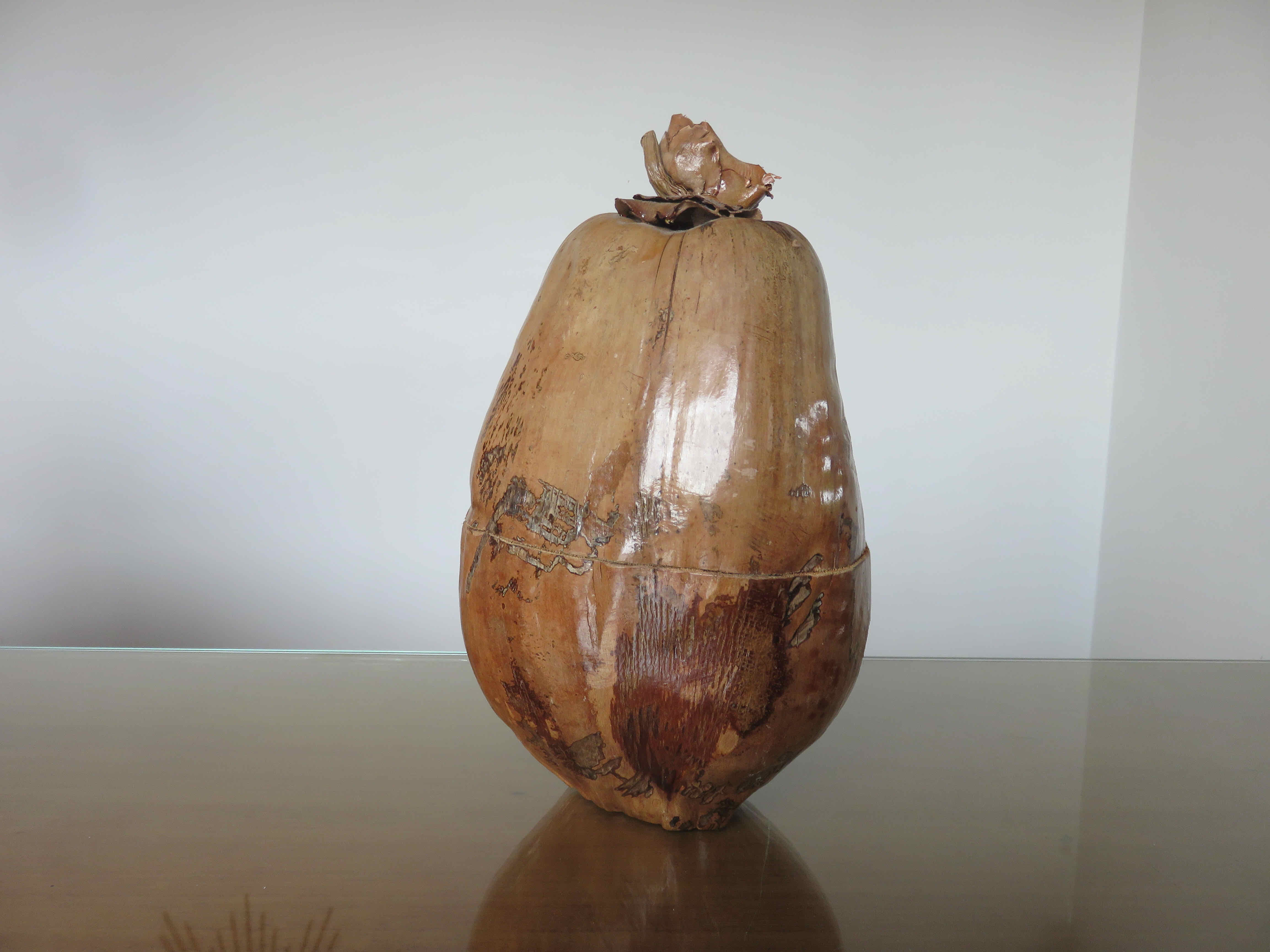 Naturalized coconut ice bucket 1970