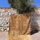 Tapis M’rirt camel 200x300cm
