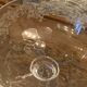 6 art deco champagne glasses with floral frieze