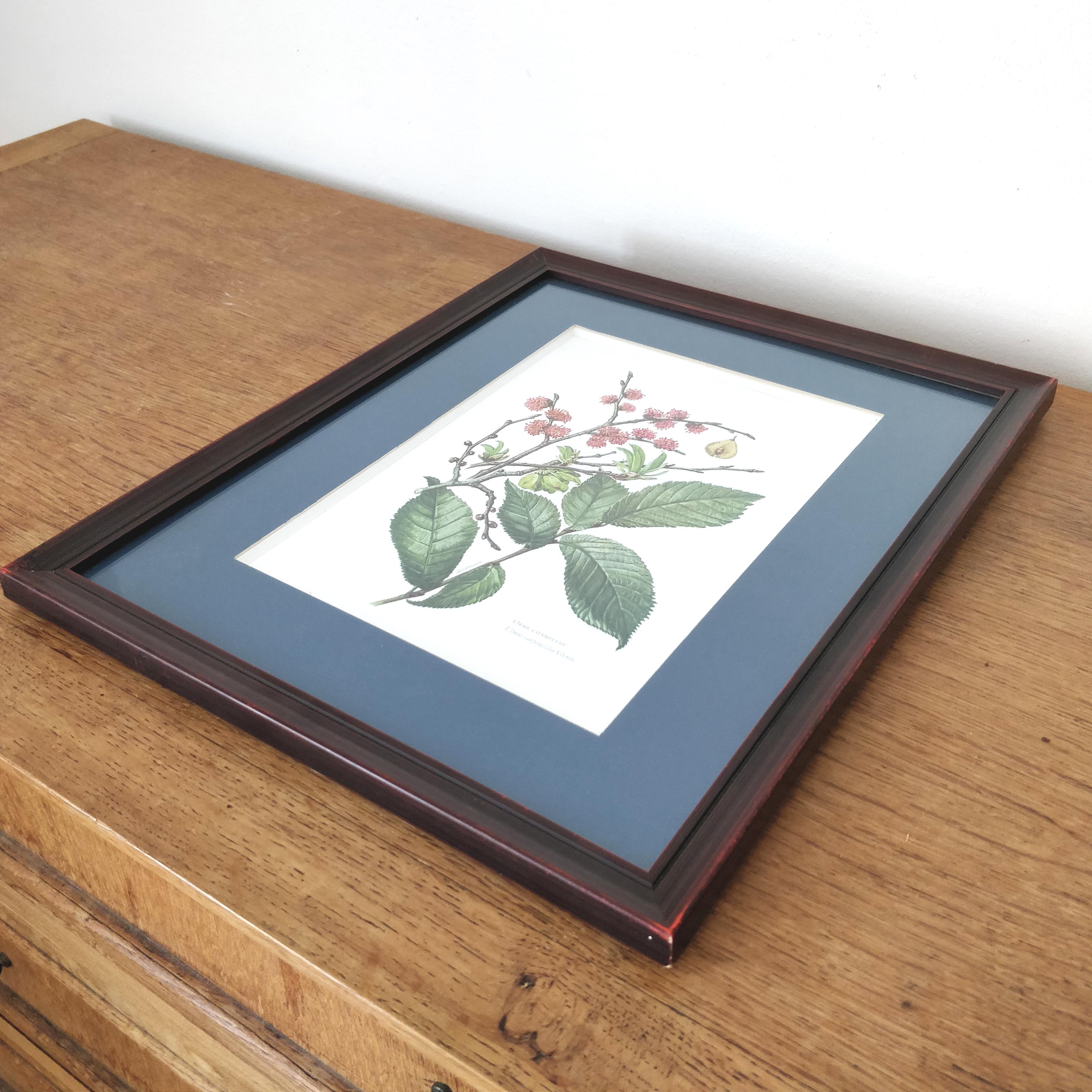 Botanical plank plank Orme country