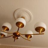 sciolari 6 lights chandelier