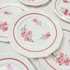 7 flat plates St-Amand Ceranord