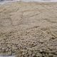 Authentic handmade woven carpet 150/250 cm