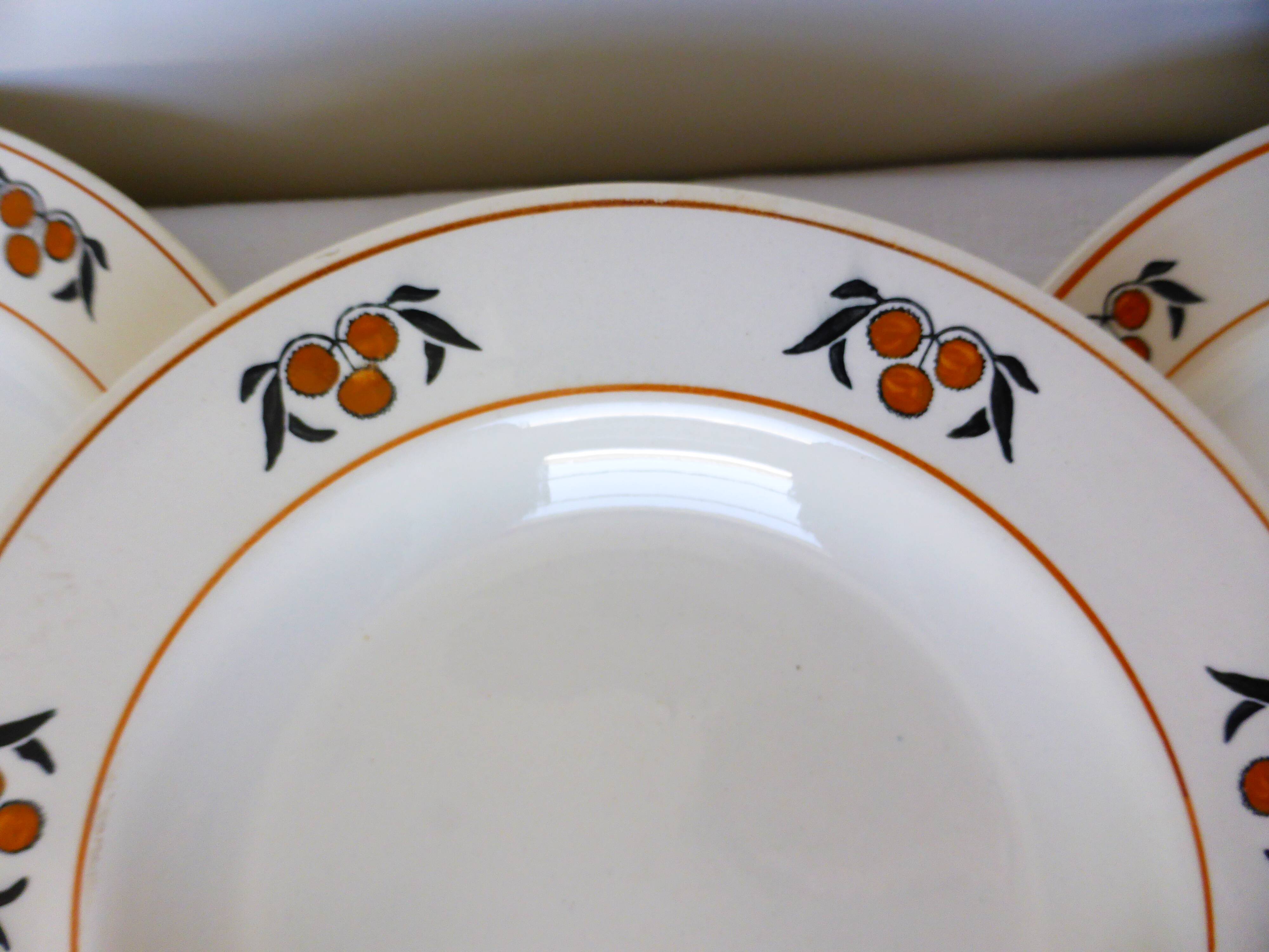 6 hollow plates in iron earth of the Salins model Mimosa 210745