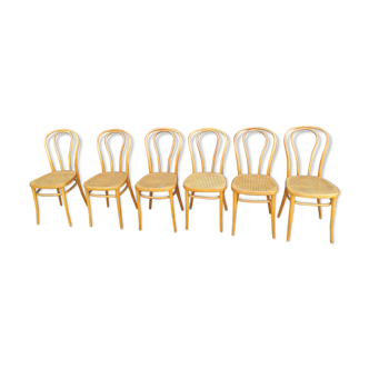 6 chaises cannées ancien bistrot vintage