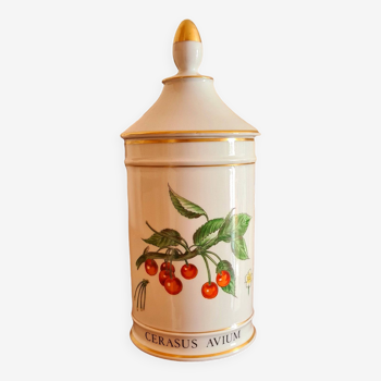 Old Apothecary jar
