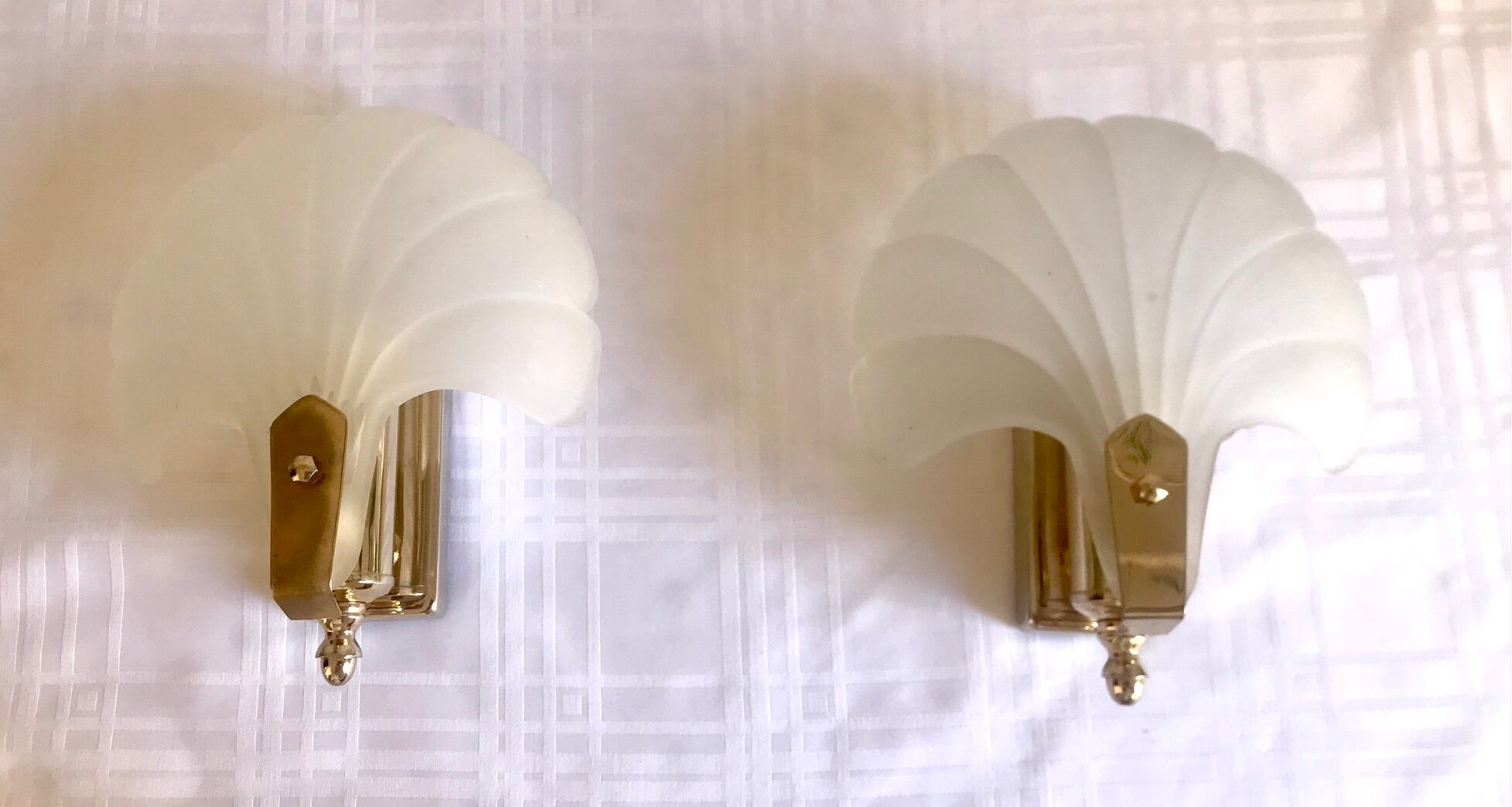 Pair of shell sconces