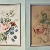 Pair of watercolors "Studies of roses" XIX°