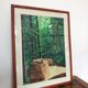 Framed drawing painting Forest