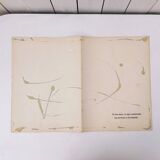 Lithograph Jean Lurçat collection vintage animality