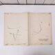 Lithograph Jean Lurçat collection vintage animality