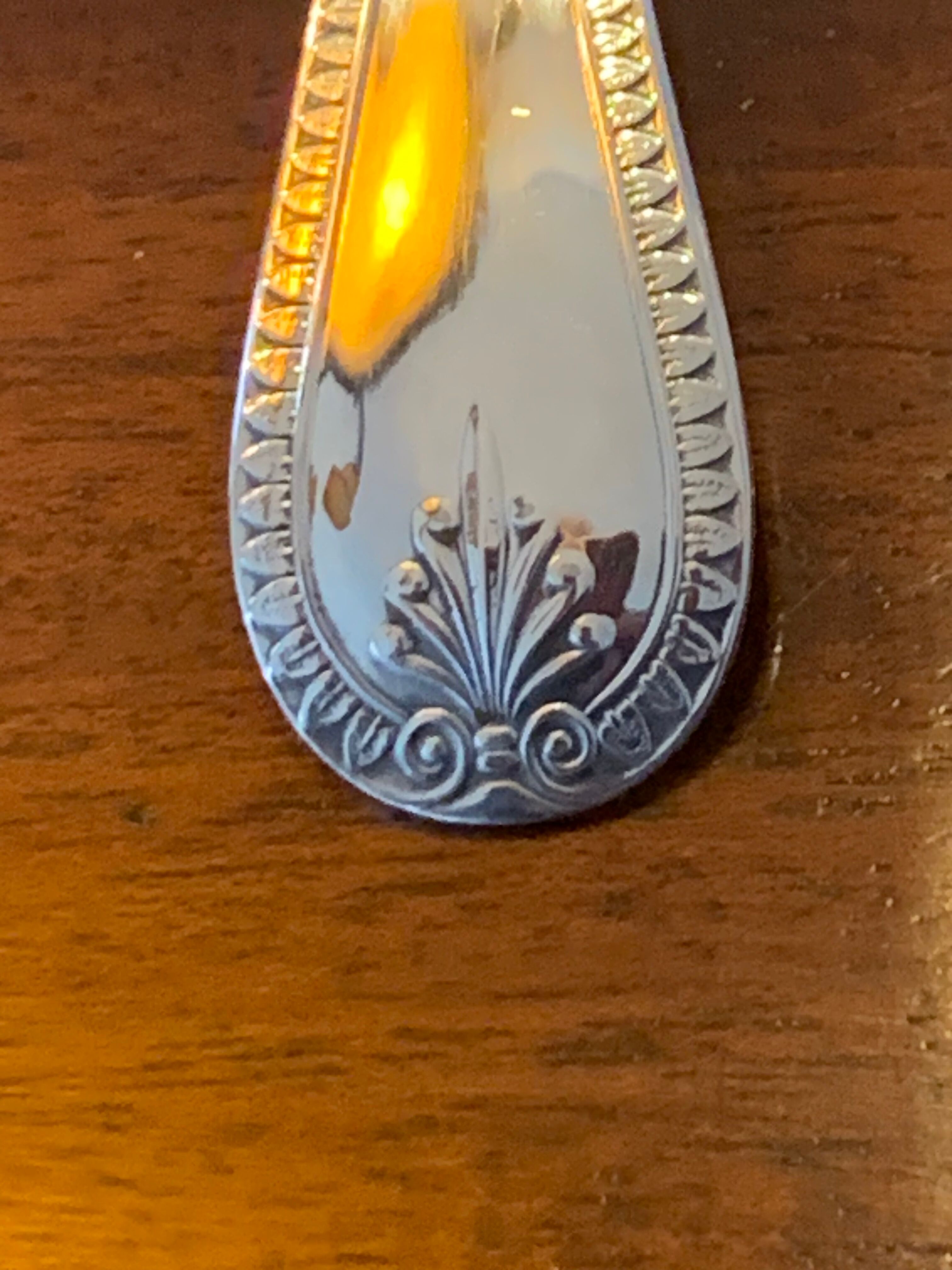 Lean fat sauce spoon