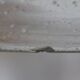Suspension en verre vintage