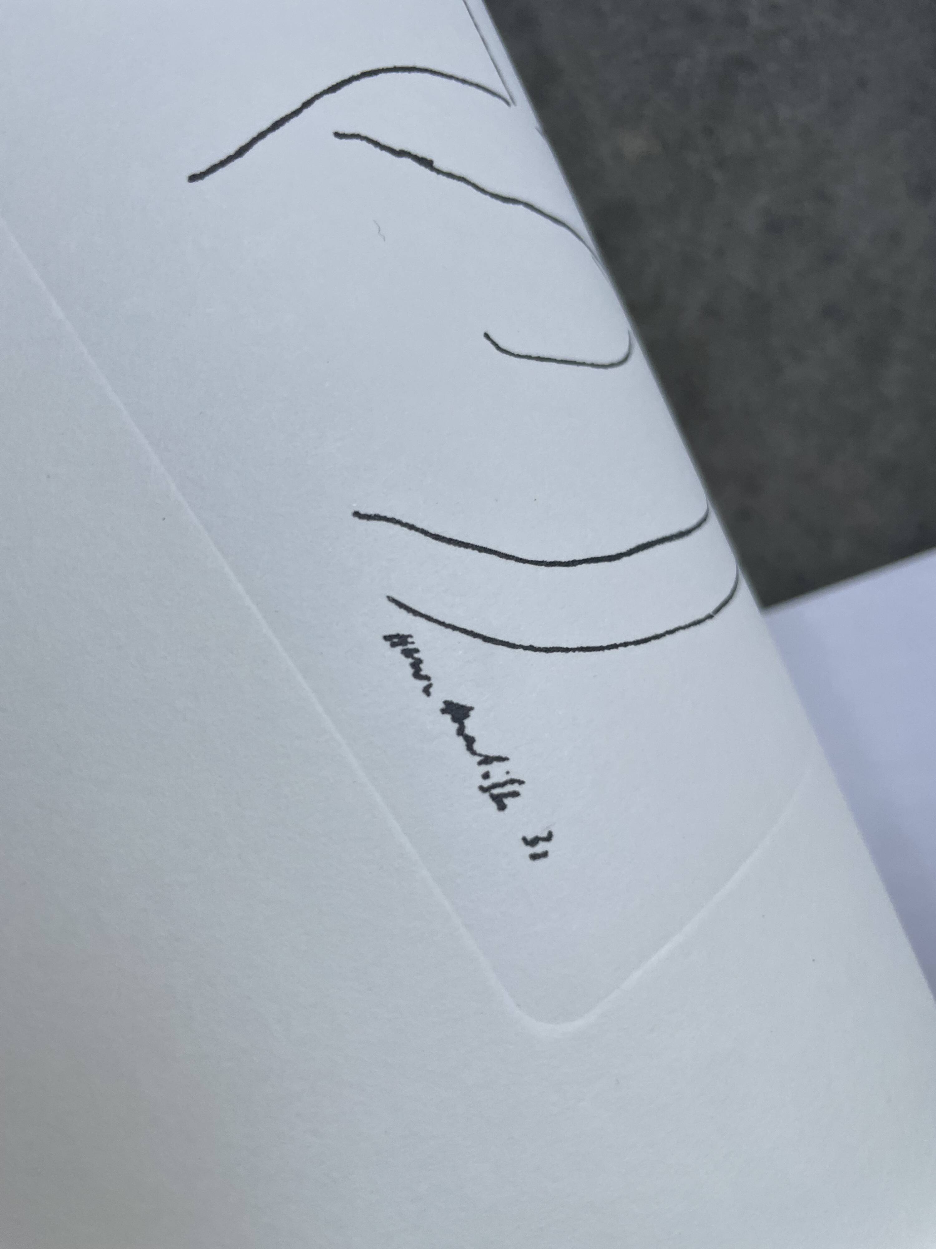 Henri Matisse vellum screenprint framed by King McGraw