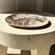 Very large empty pocket or dish in petrified wood