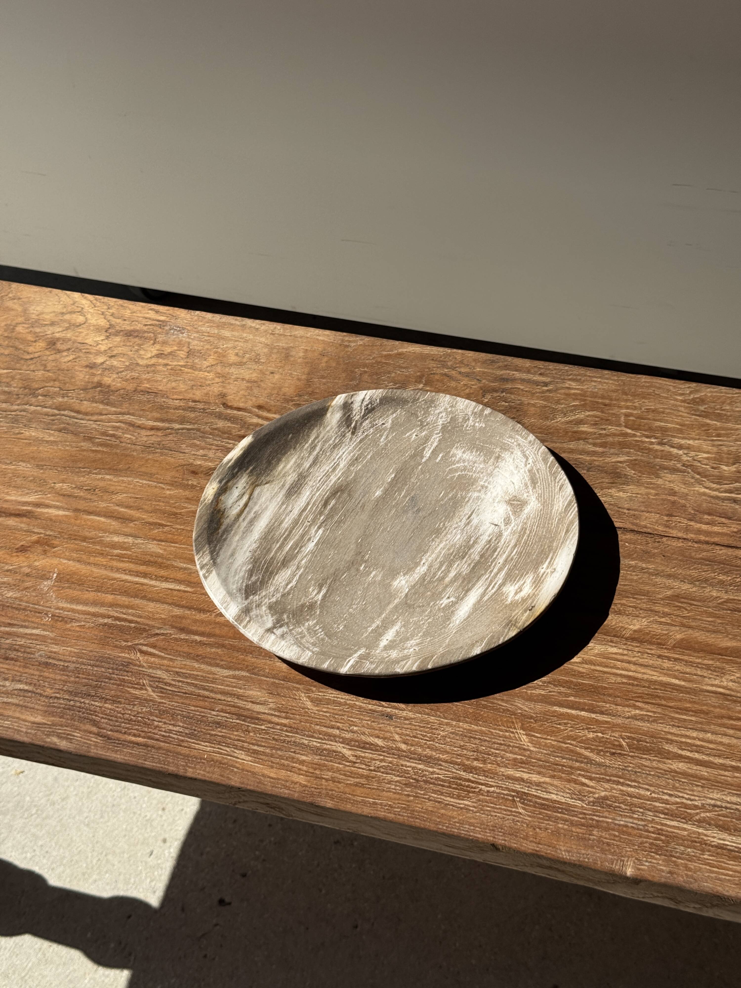 Petrified wood vide poche, circular dish or plate in light beige D25.