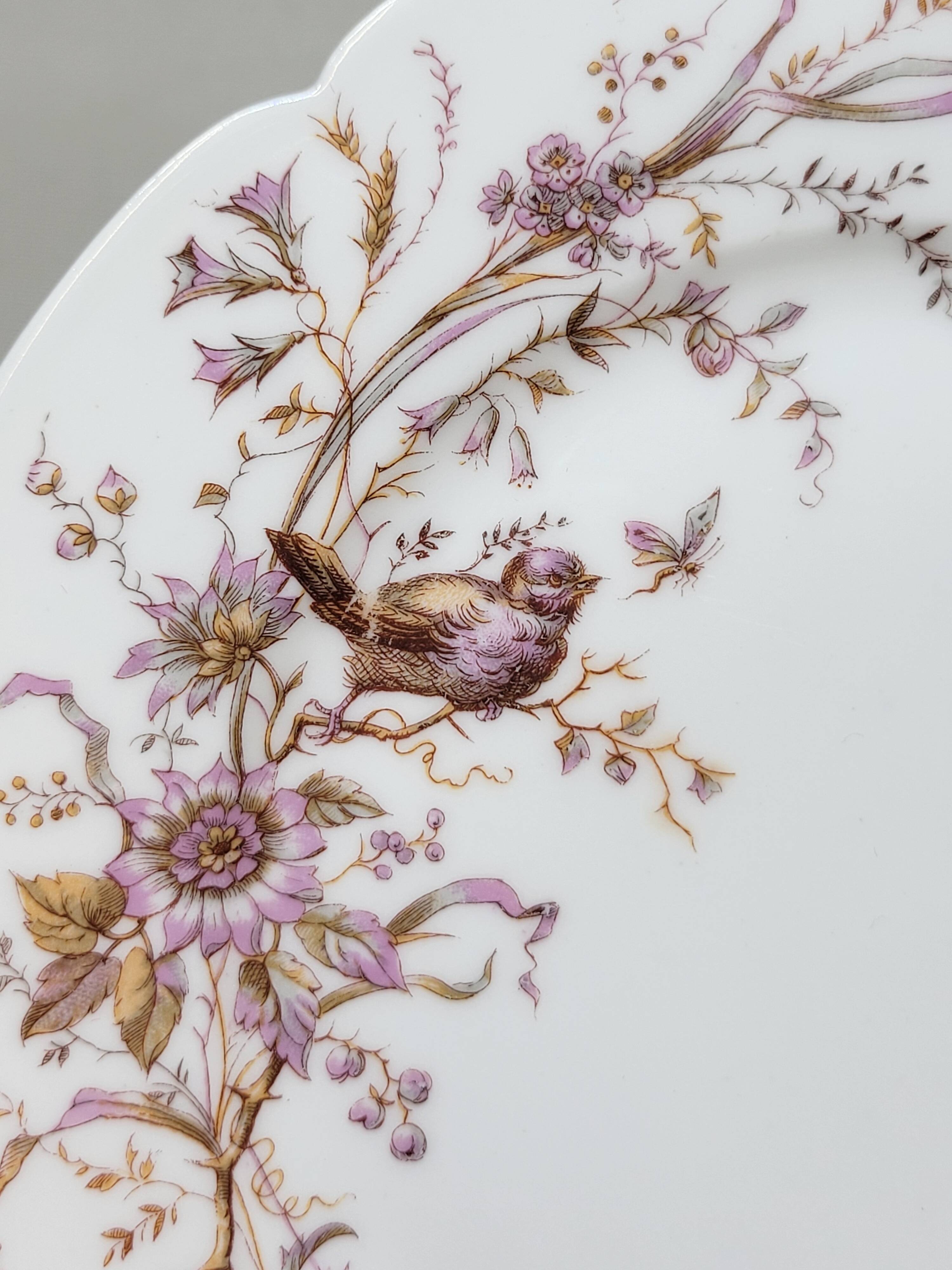 8 Superb Antique 19th Century Plates Decorated with Birds on Branches