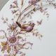 8 Superb Antique 19th Century Plates Decorated with Birds on Branches
