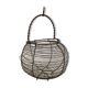 Basket with salad or old eggs in wire