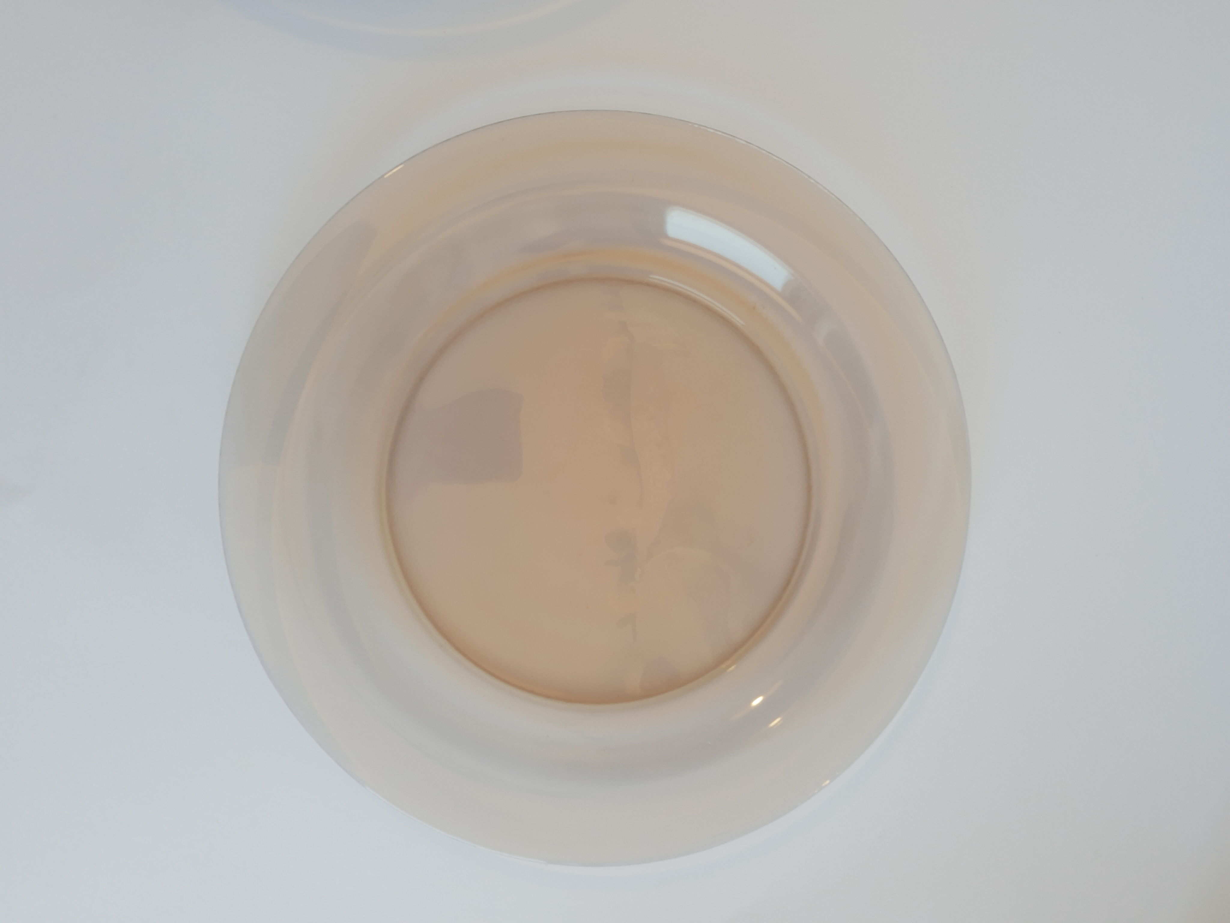 Set of 9 flat plates in smoked glass Arcoroc France 70s vintage