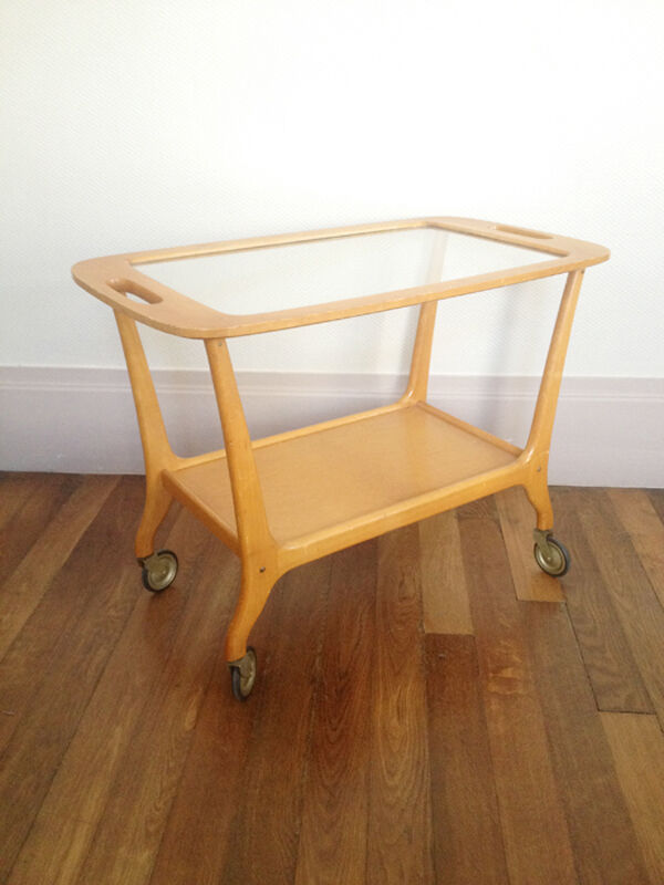 Scandinavian wheelchair service, 1960