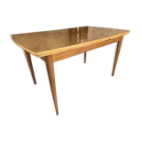 Scandinavian table teak and lemon tree Italian extensions