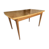 Scandinavian table teak and lemon tree Italian extensions