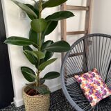 Cache pot