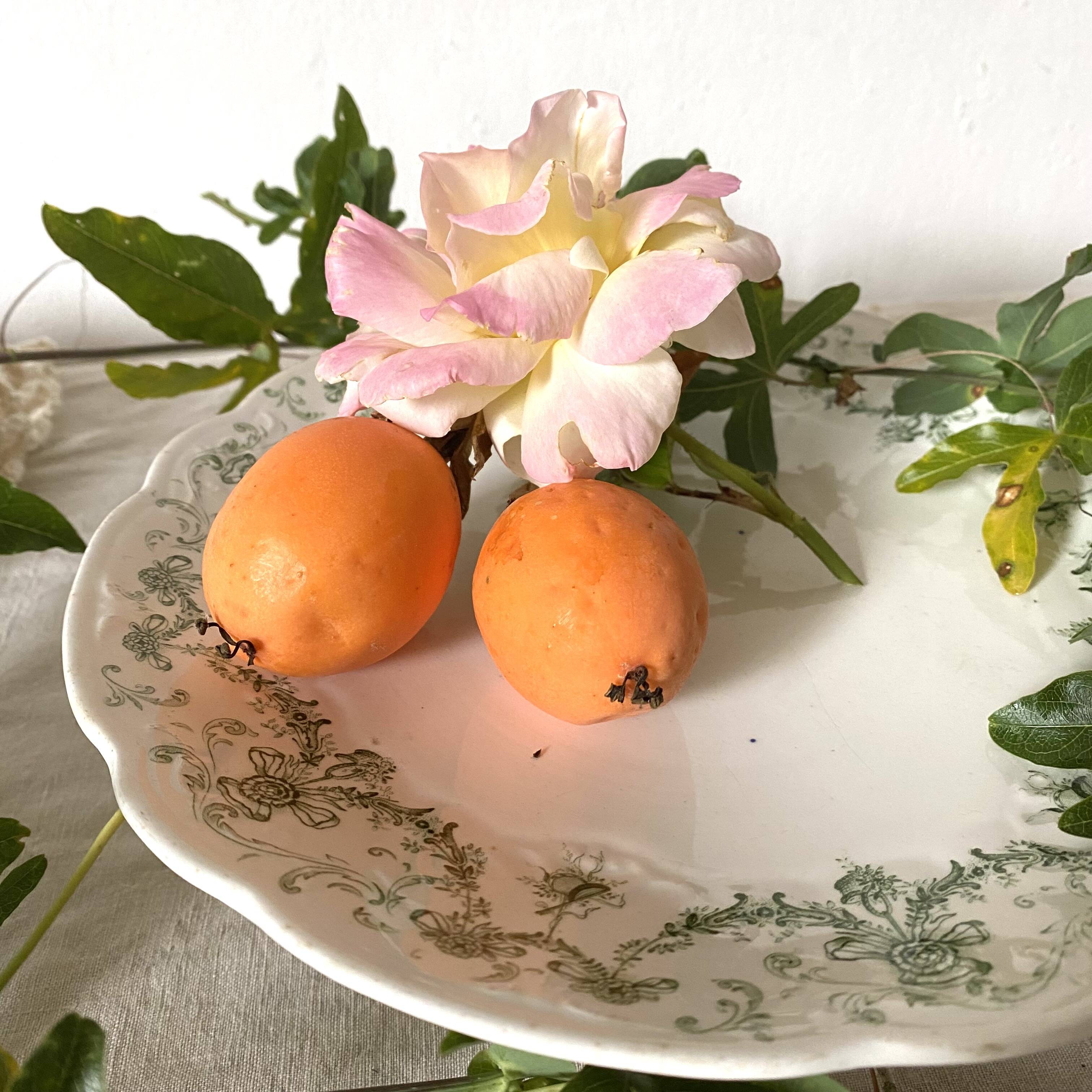 Standing dish, English porcelain compotier Ridgway
