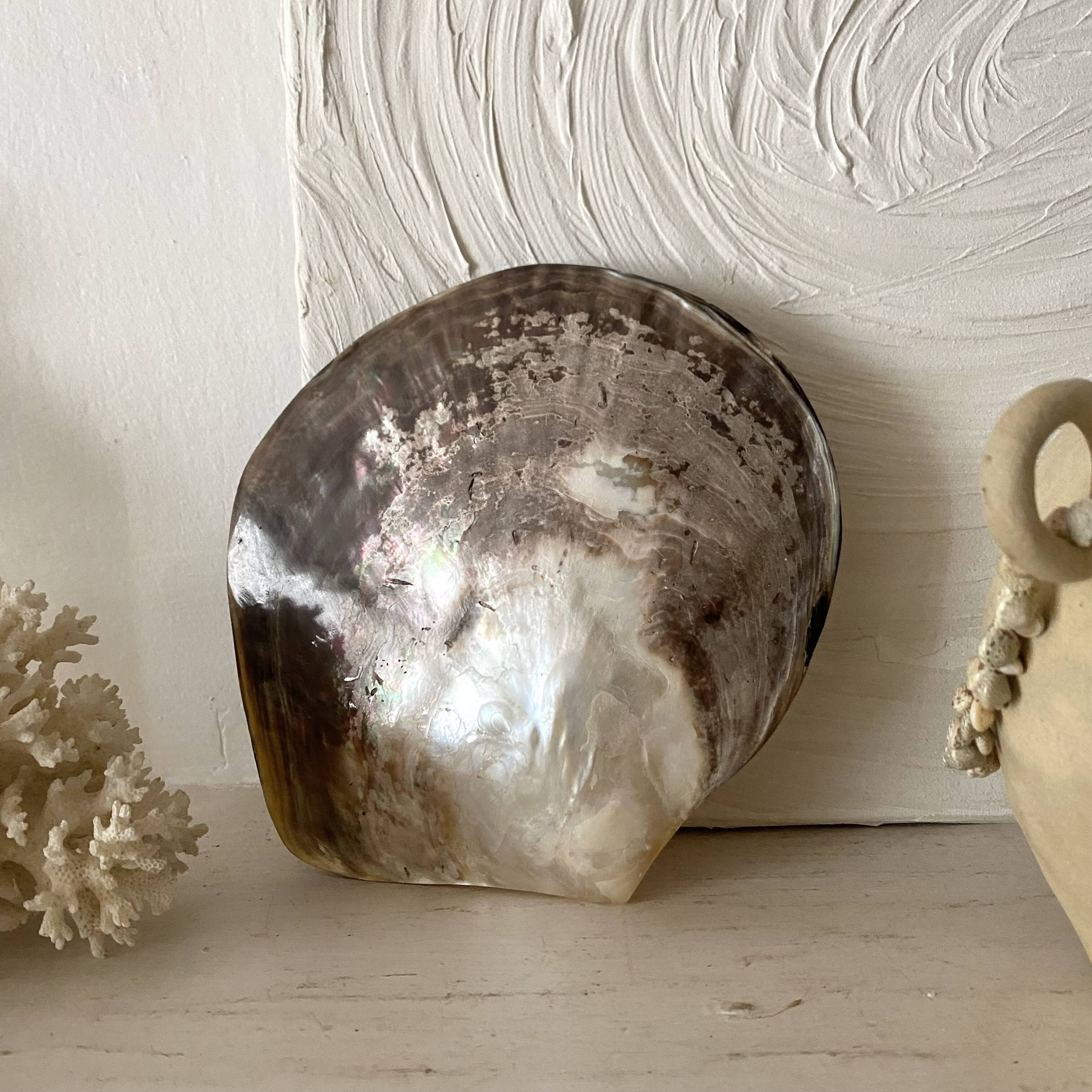 Oyster pearl catchall