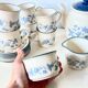Vintage Staffordshire coffee set – blue grape decor – 1970s