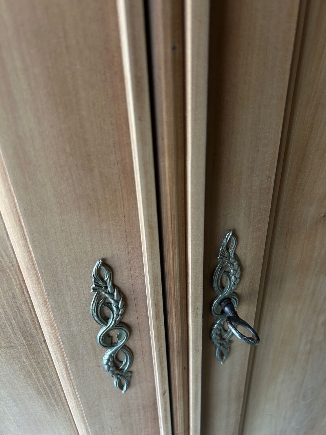 Renovated antique Parisian wardrobe