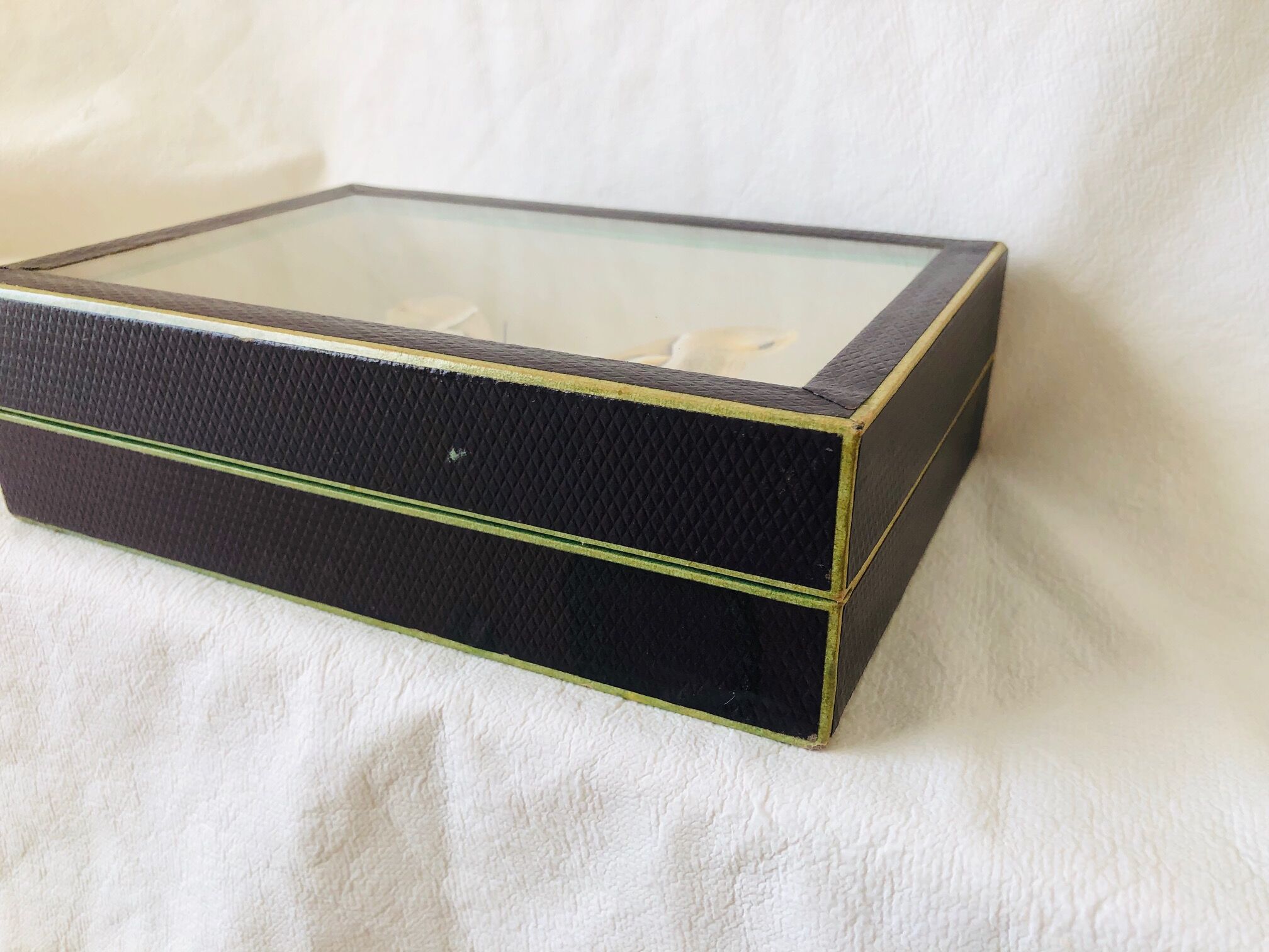 Naturalized butterfly frame