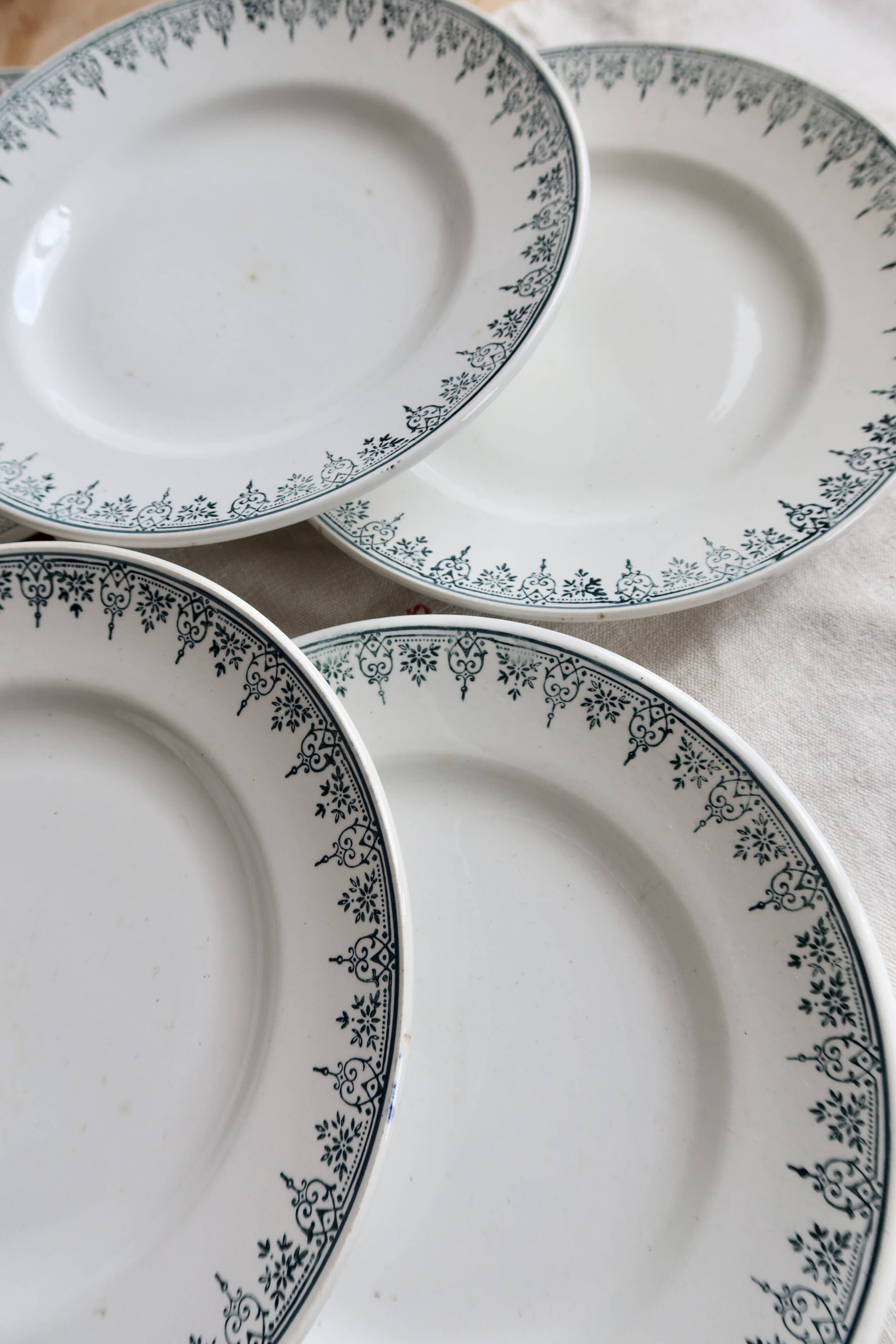 6 vintage plates from Terre de Ter Saint Amandinoise, Saint Amand model 4500.