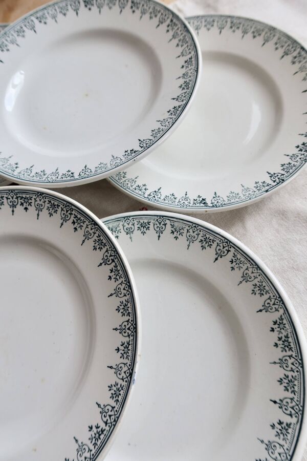 6 assiettes vintage terre de ter Saint Amandinoise Saint Amand modèle 4500