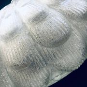 Large Frosted Flower Glass Sconce Wall Lamp from MCM, 1960s