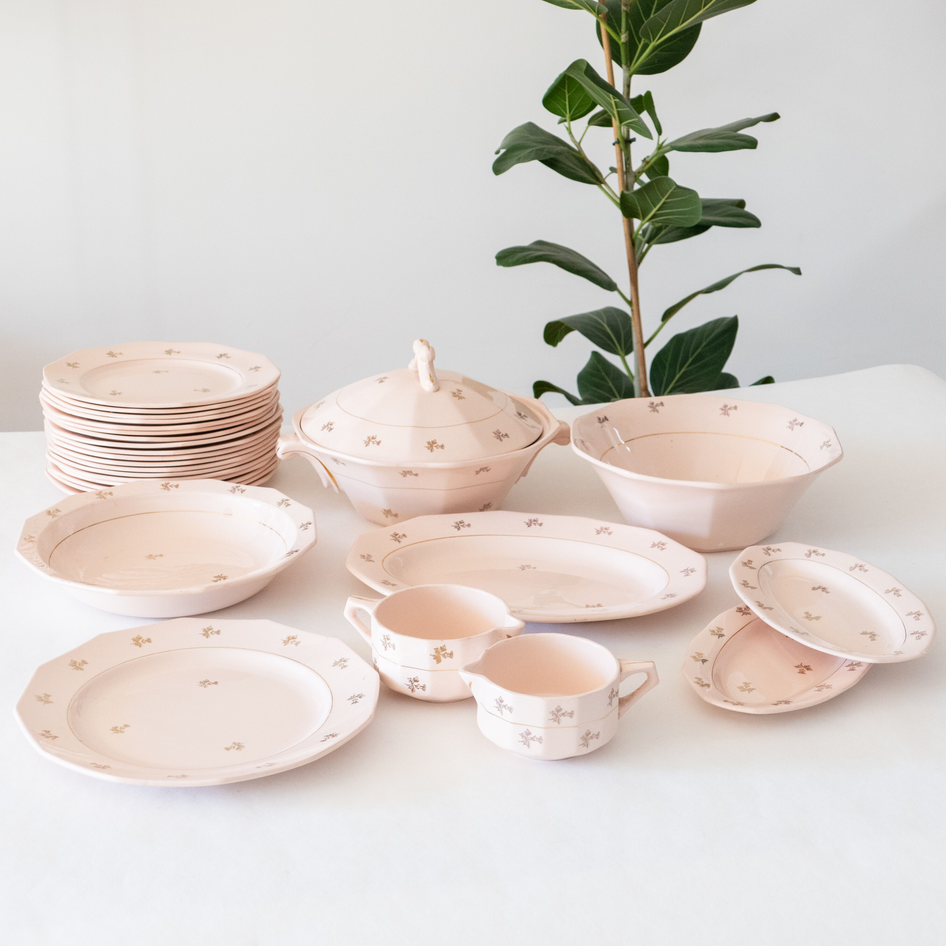 Ensemble De Table Queen Anne – Porcelaine Rose Summer Blush – Pour 2 Personnes – Or