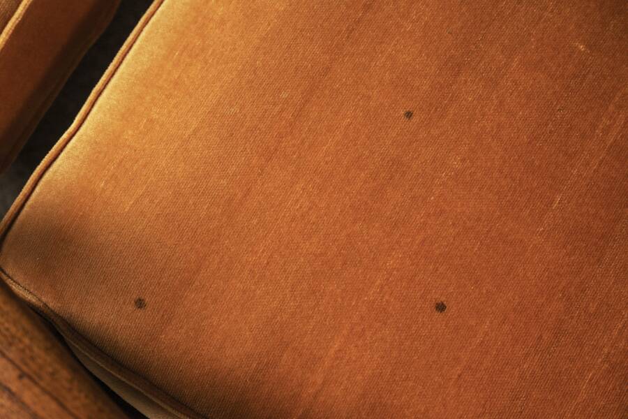 Pair of Scandinavian armchairs