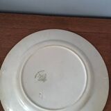 Dish