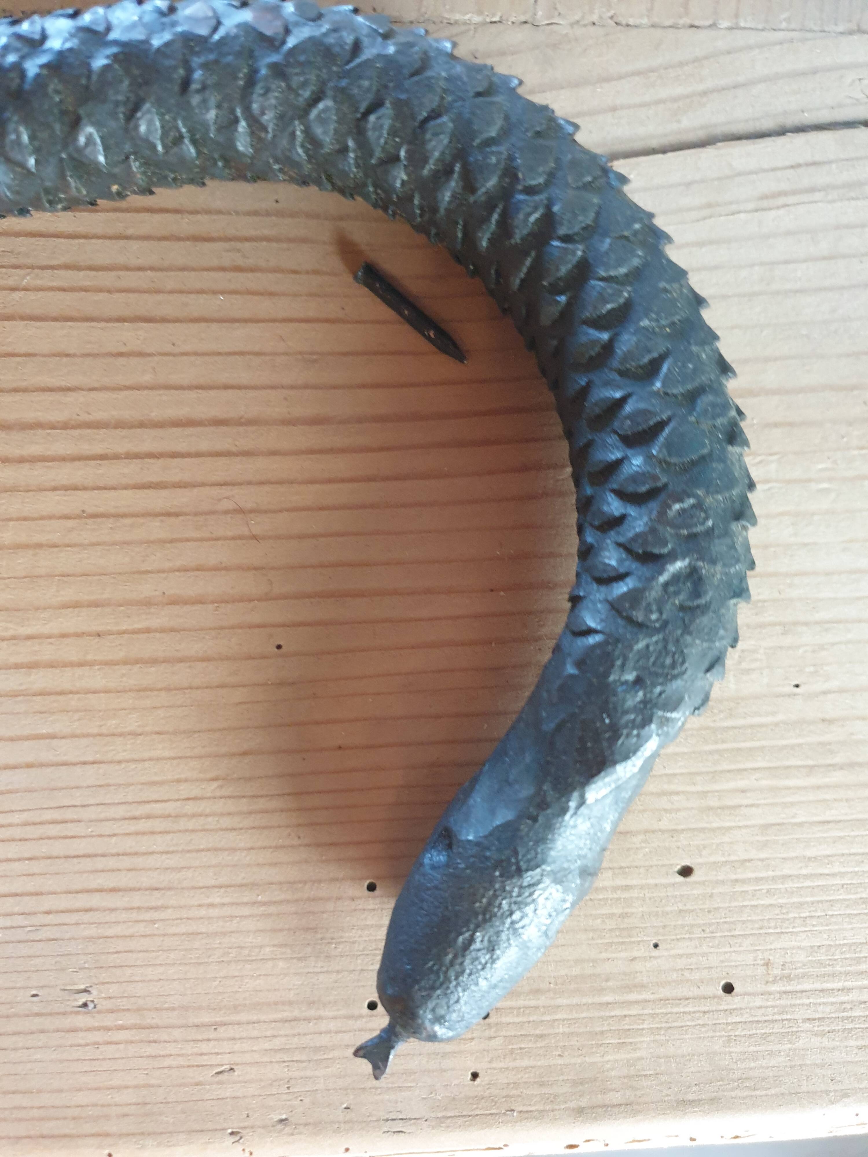 Serpent rappe a bois