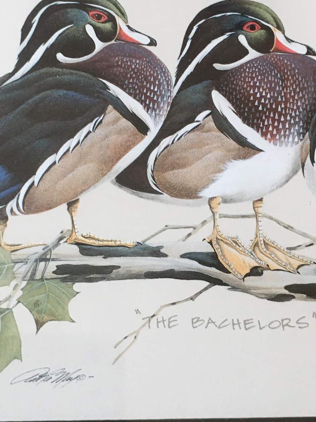 Painting of birds "the Bachelors" by Art Lamay. Impression of birds. Wooden frame and gilded edging