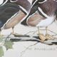 Painting of birds "the Bachelors" by Art Lamay. Impression of birds. Wooden frame and gilded edging