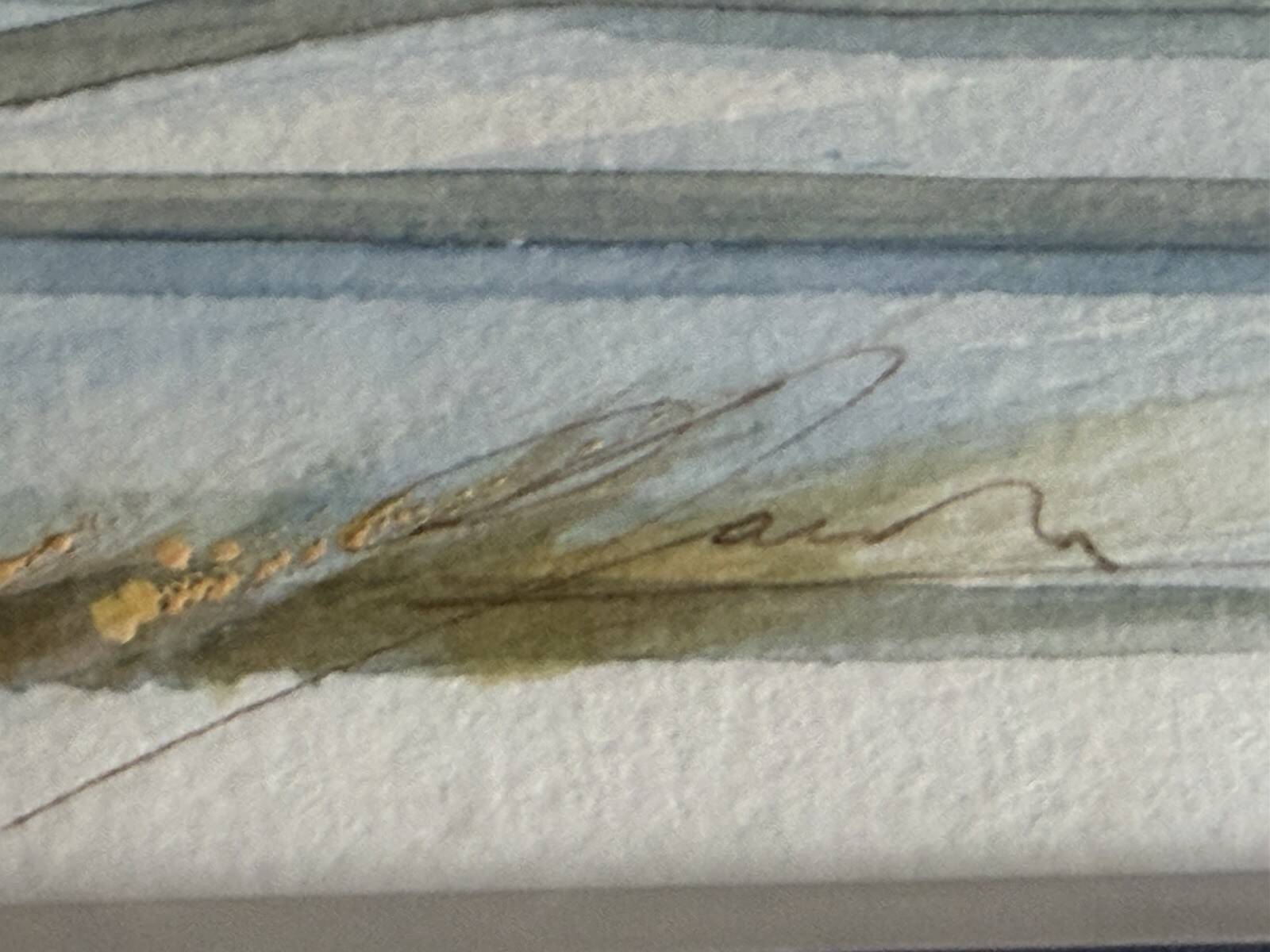 Watercolour by Christian Gaudin framed, certificate Guérande salt marshes.