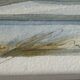 Watercolour by Christian Gaudin framed, certificate Guérande salt marshes.