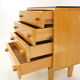 1970 Chest of Drawers by Novy Domov, Czechoslovakia