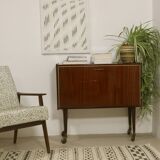 Bar cabinet on wheels circa 1950