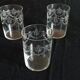 Set 6 engraved glasses