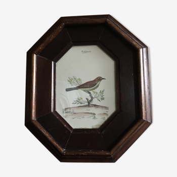 Ancient octagonal frame with bird